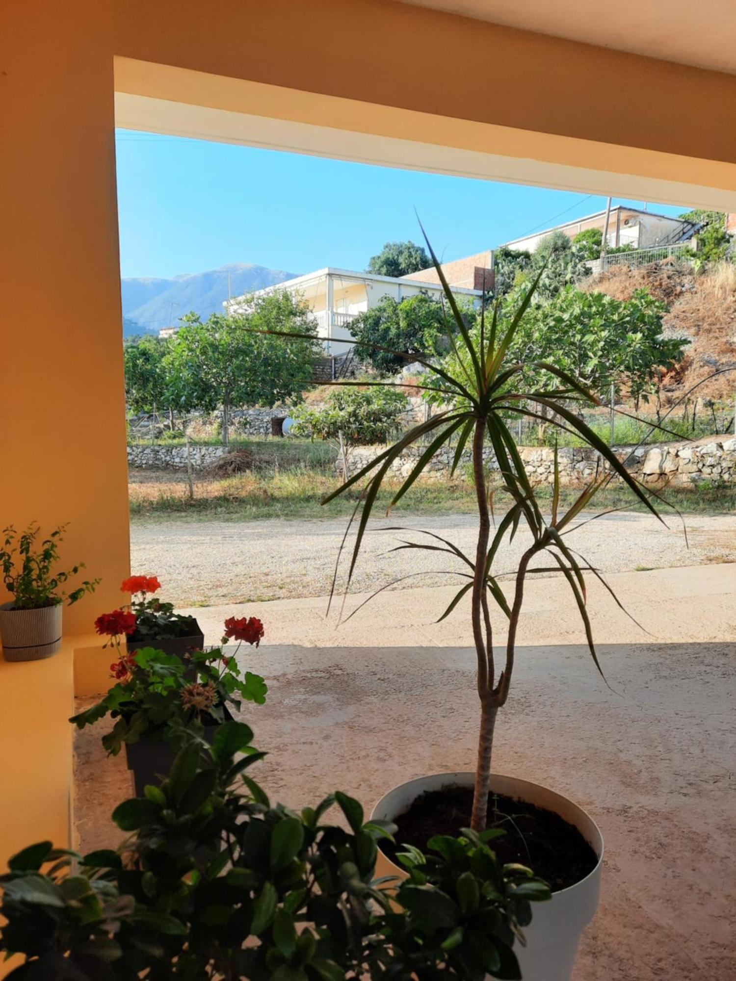 Appartement Amarildo
